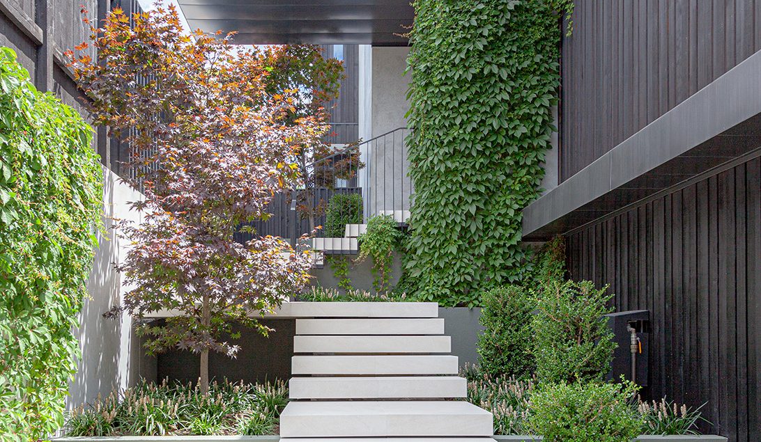 Jessop Architects Contemporary Architecture Design Remuera