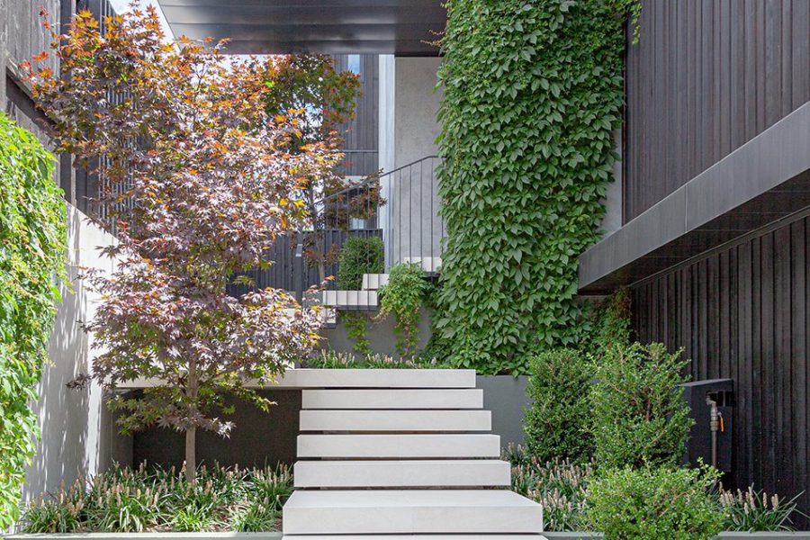 Jessop Architects Contemporary Architecture Design Remuera